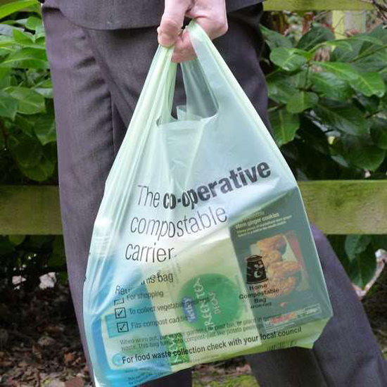 Printed Biodegradable Polythene Bags 2 Kg 2530 inch